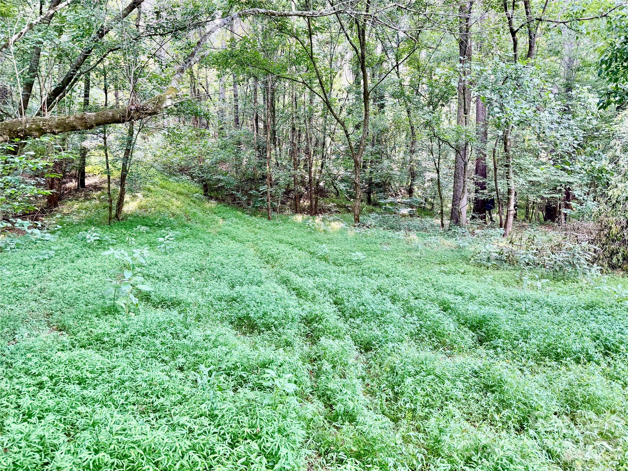 0 Butler Mill Road Harmony, NC 28634 - Photo 17 of 20