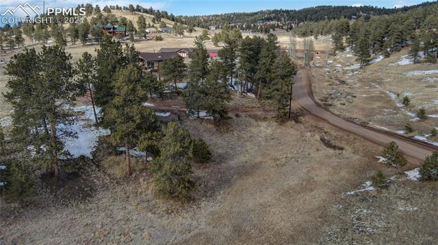297 High Pasture Road Florissant, CO 80816 - Photo 22 of 23
