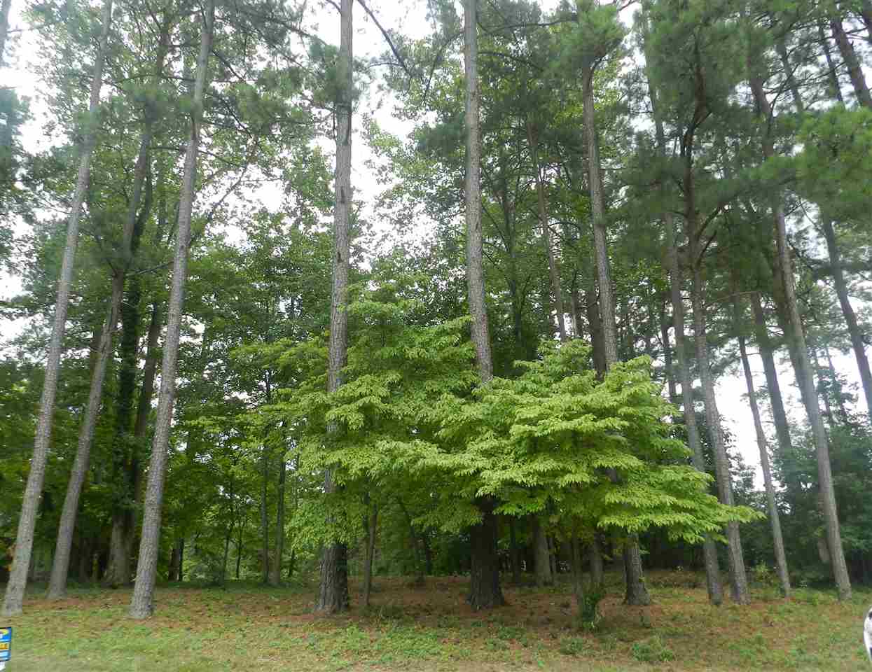 0 Ridgeway Road Gaffney, SC 29340 - Photo 1 of 1 Gallery Image 1