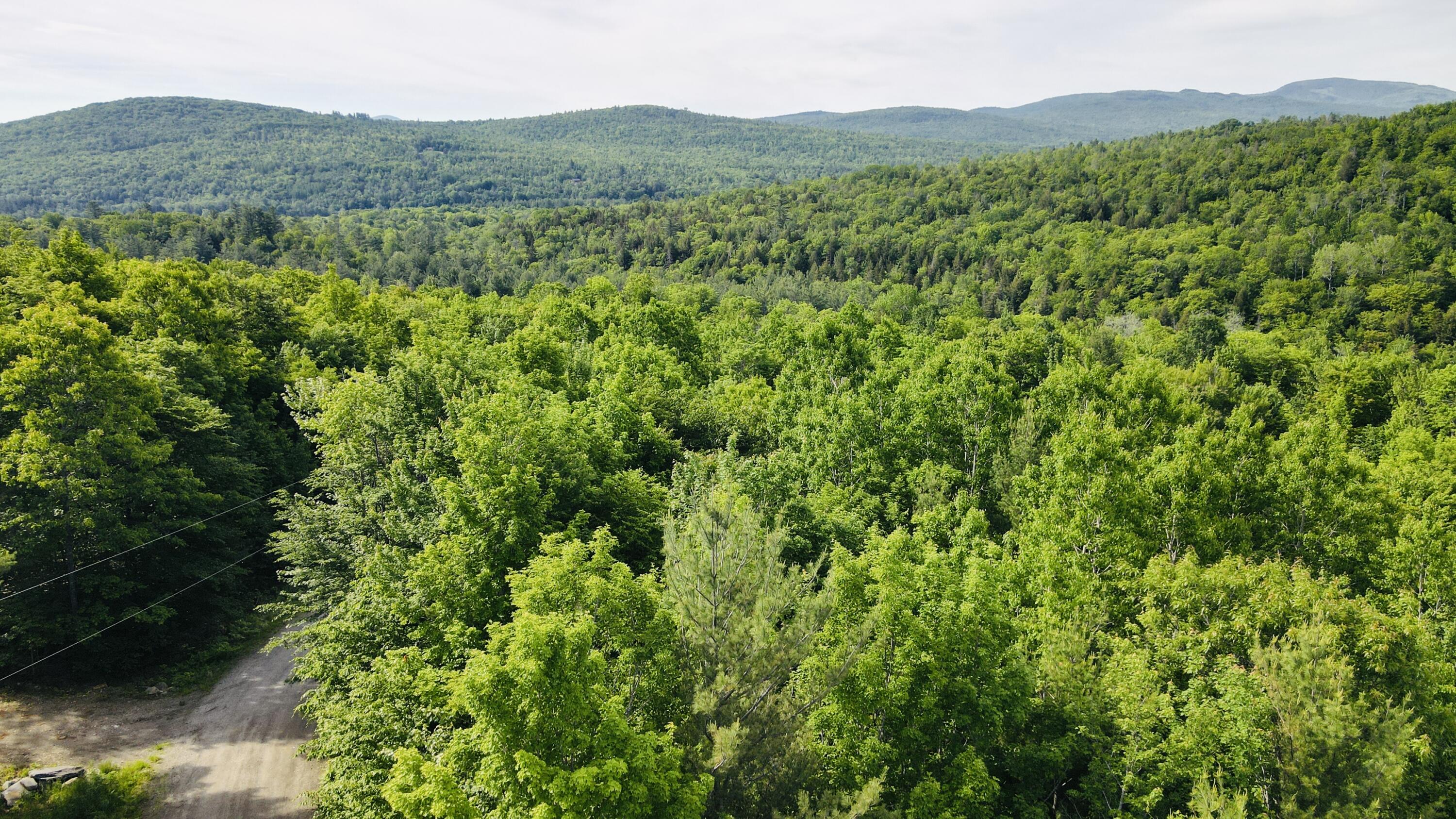 Lot #4 Mooseley Ridge Road Phillips, ME 04966 - Photo 4 of 20