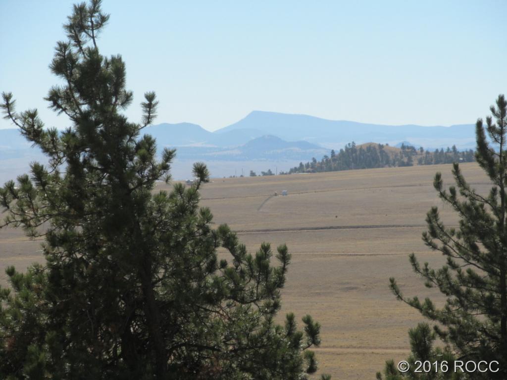 1199 Jefferson Road Hartsel, CO 80449 - Photo 12 of 14
