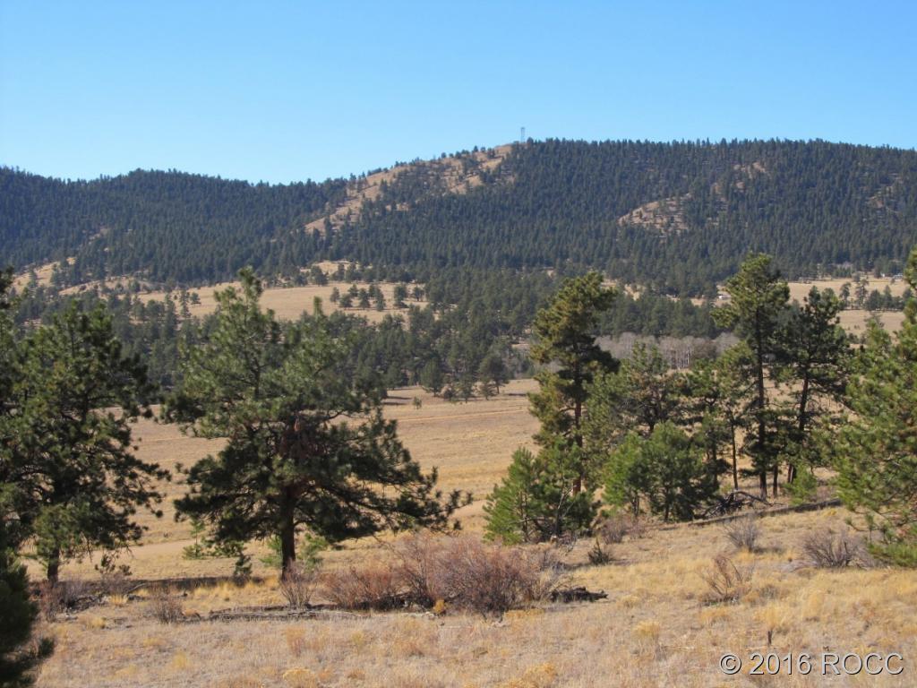 1199 Jefferson Road Hartsel, CO 80449 - Photo 13 of 14