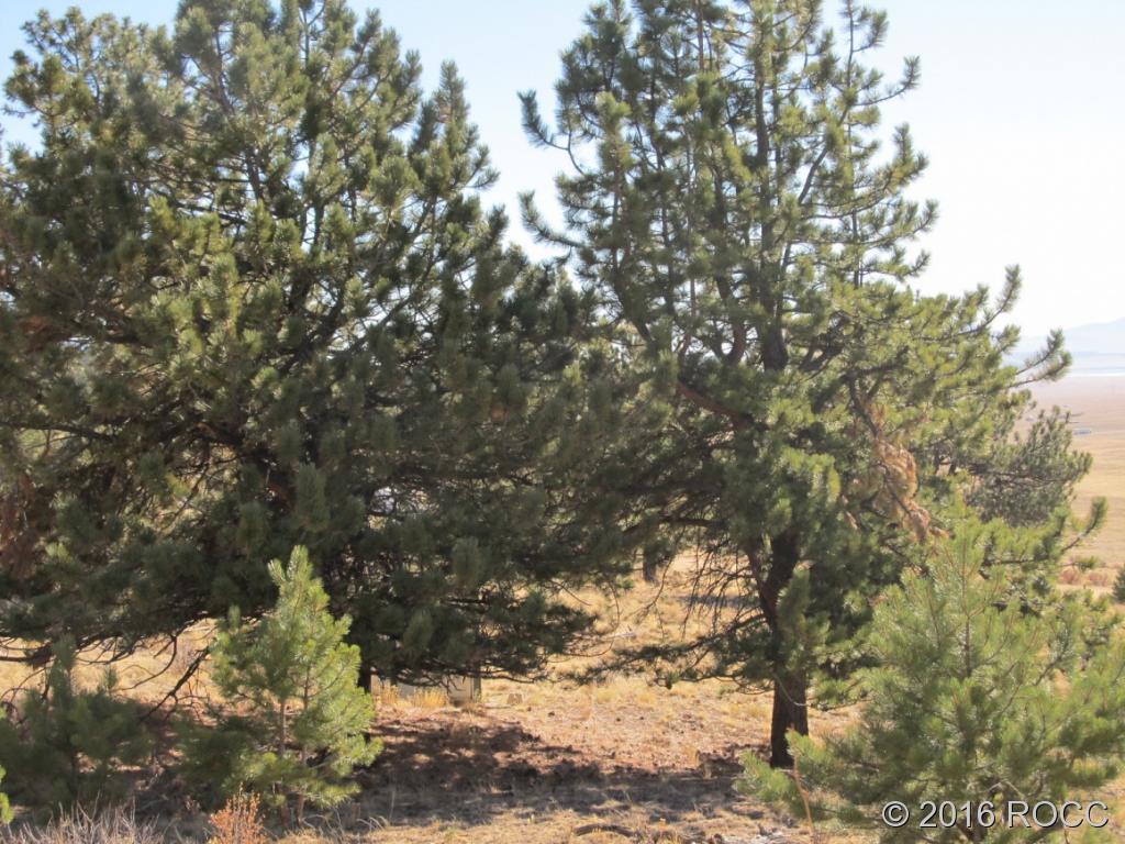 1199 Jefferson Road Hartsel, CO 80449 - Photo 14 of 14