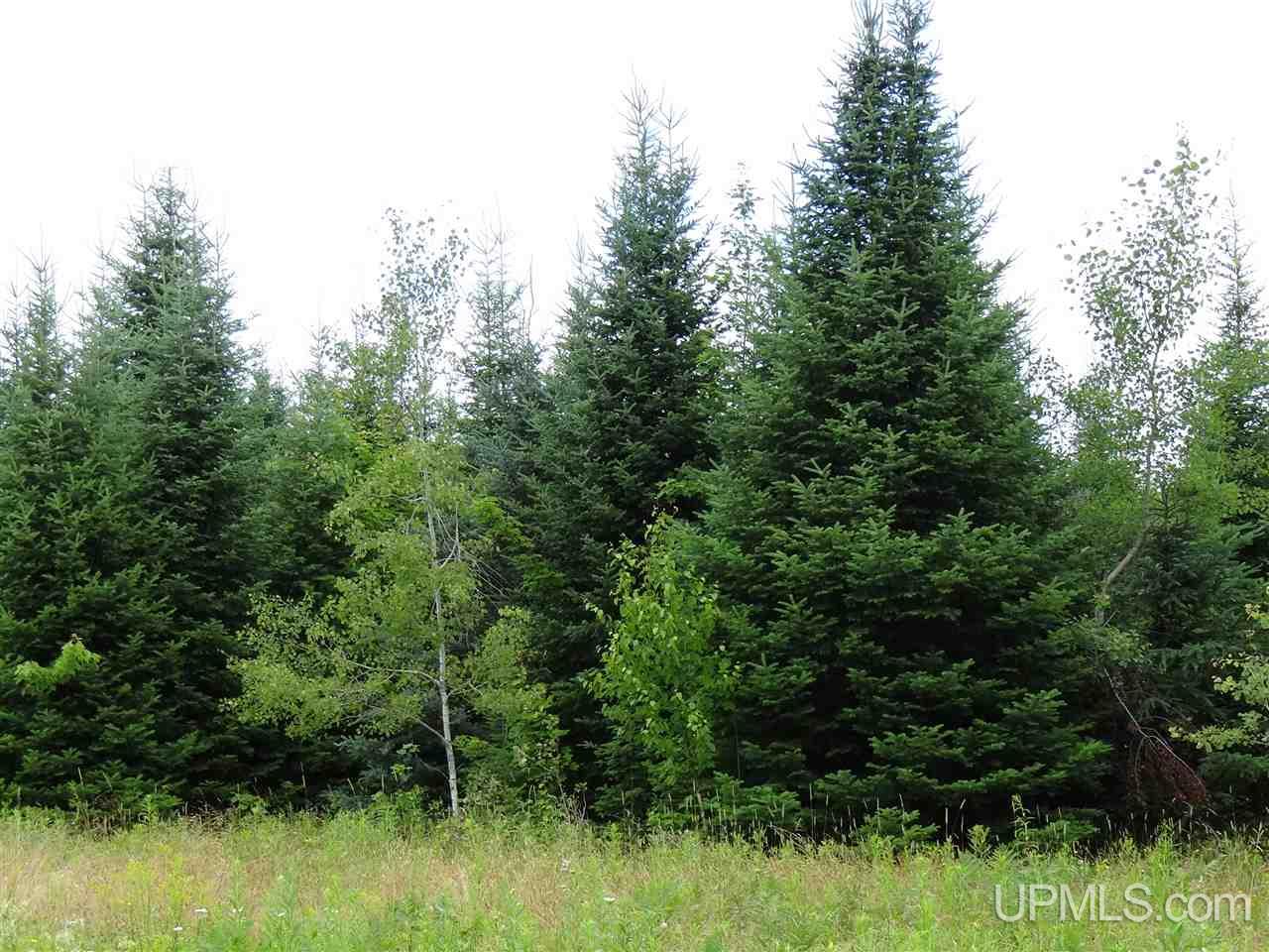 Tbd Pelto Road Baraga, MI 49908 - Photo 10 of 15 Gallery Image 10