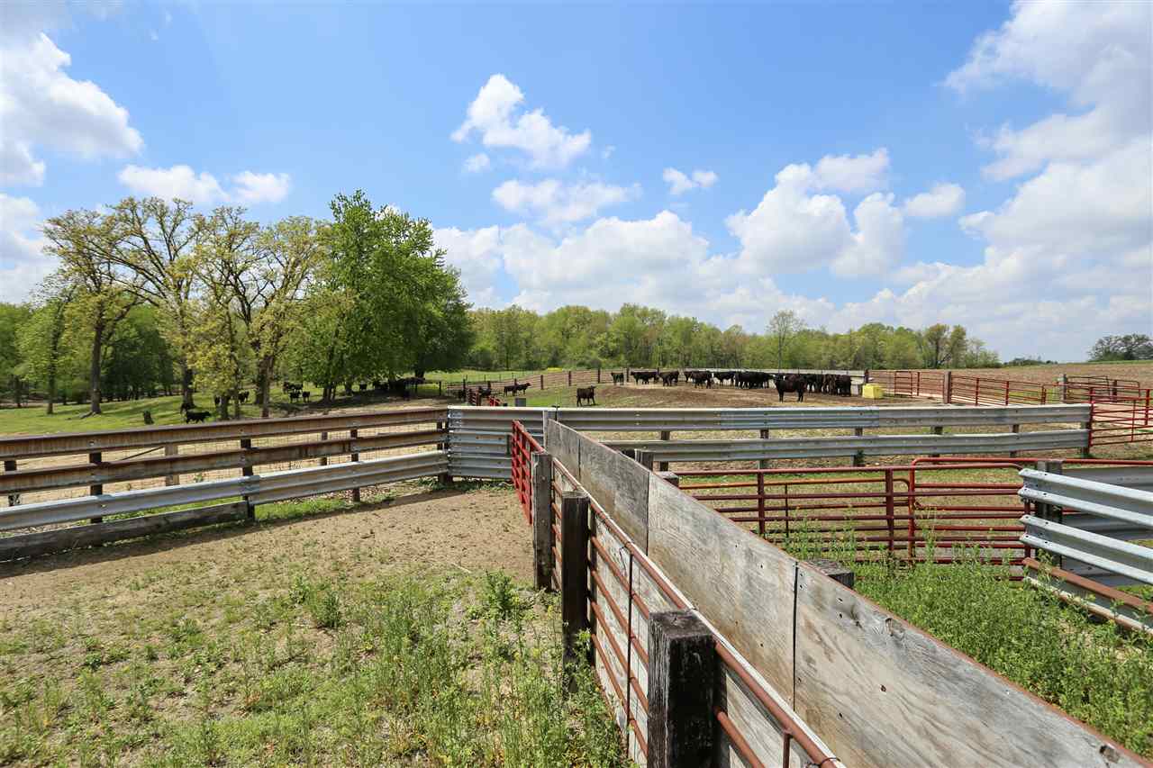 0 Sandhill Road Cascade, IA 52033 - Photo 9 of 19 Gallery Image 9