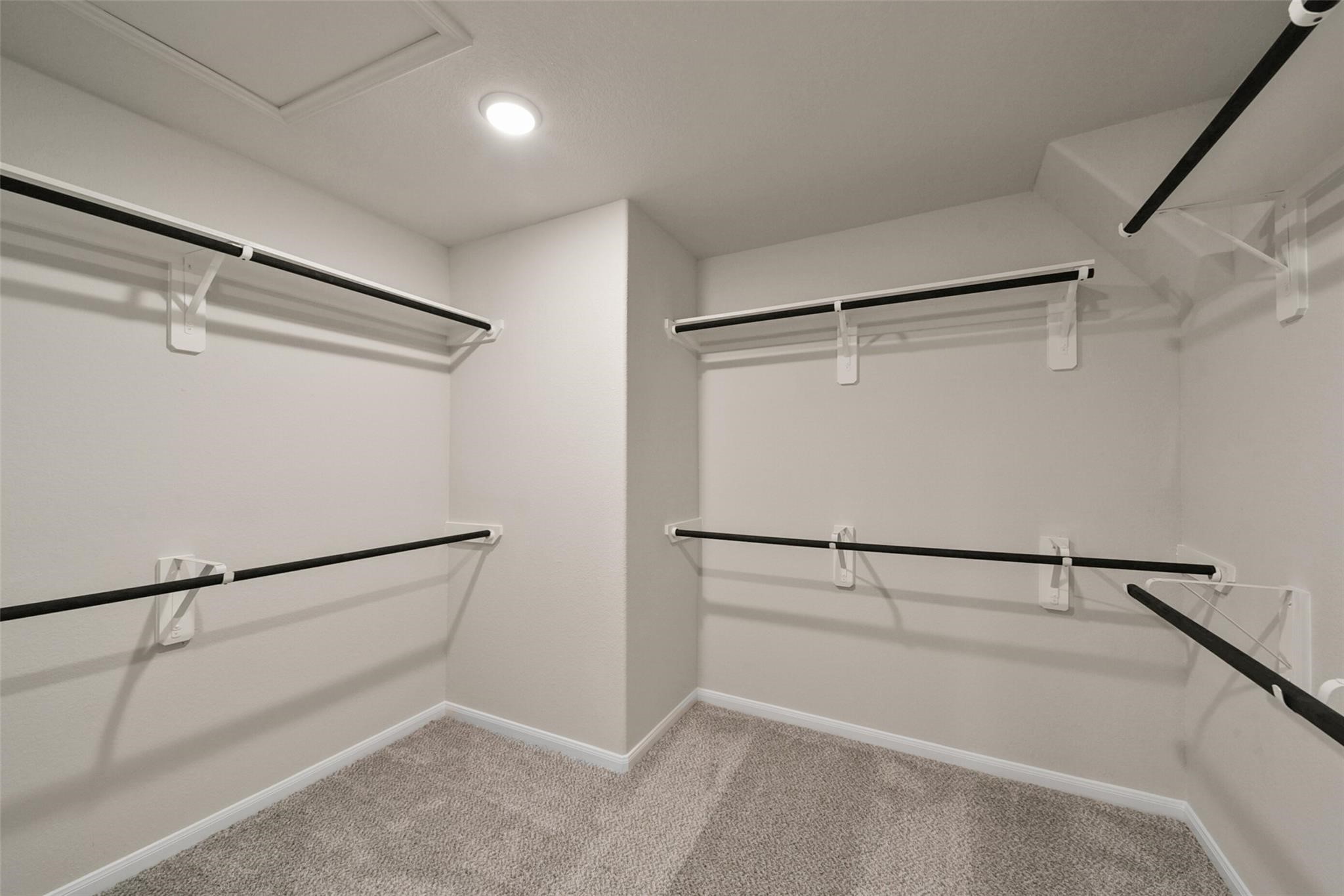 10522 Plumas Run Drive Rosharon, TX 77583 - Photo 21 of 29 Spacious walk-in closet featuring multiple hanging rods, plush carpeting, and ample storage.