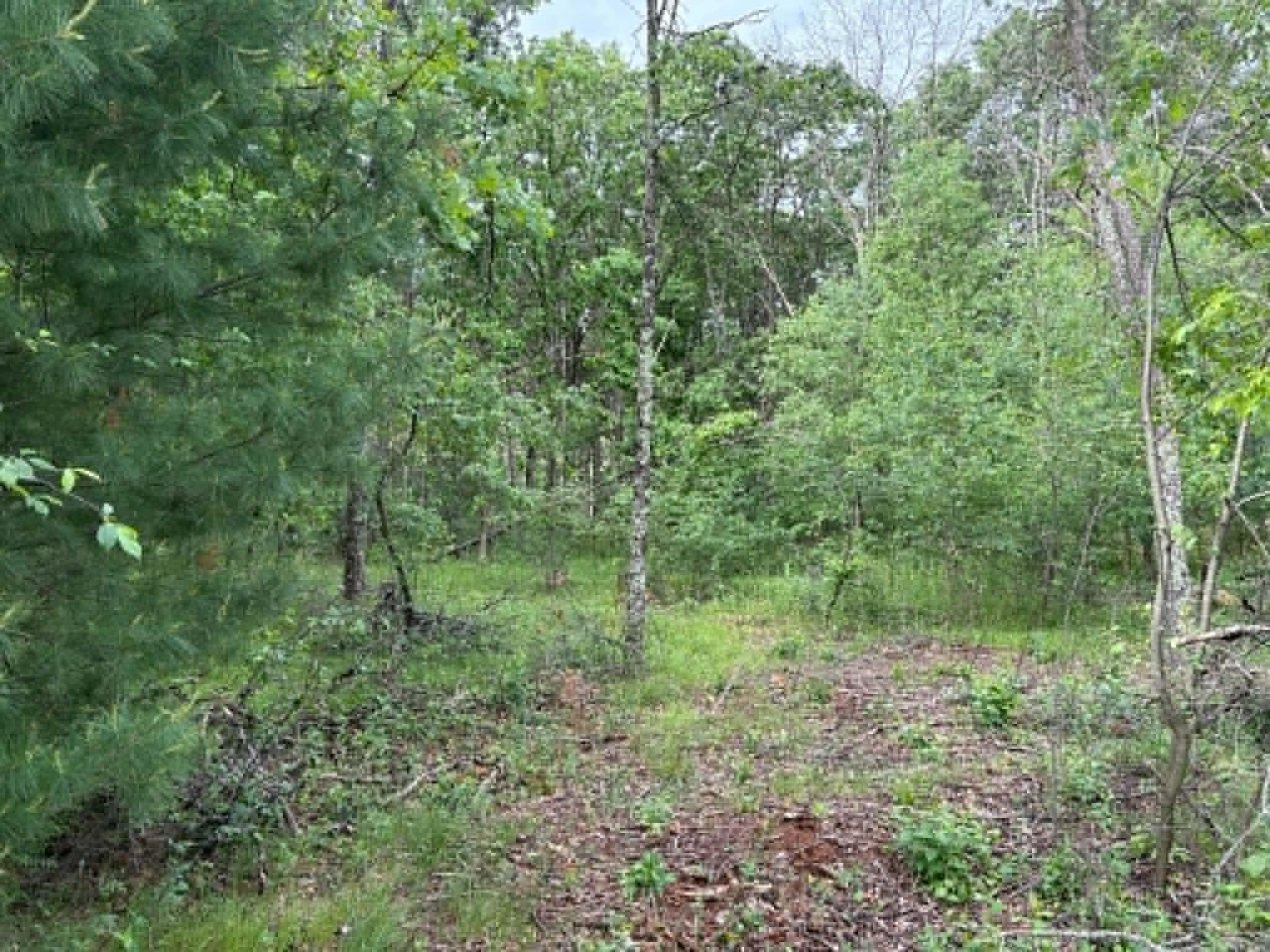 Lot 13 19th Friendship, WI 53934 - Photo 2 of 18