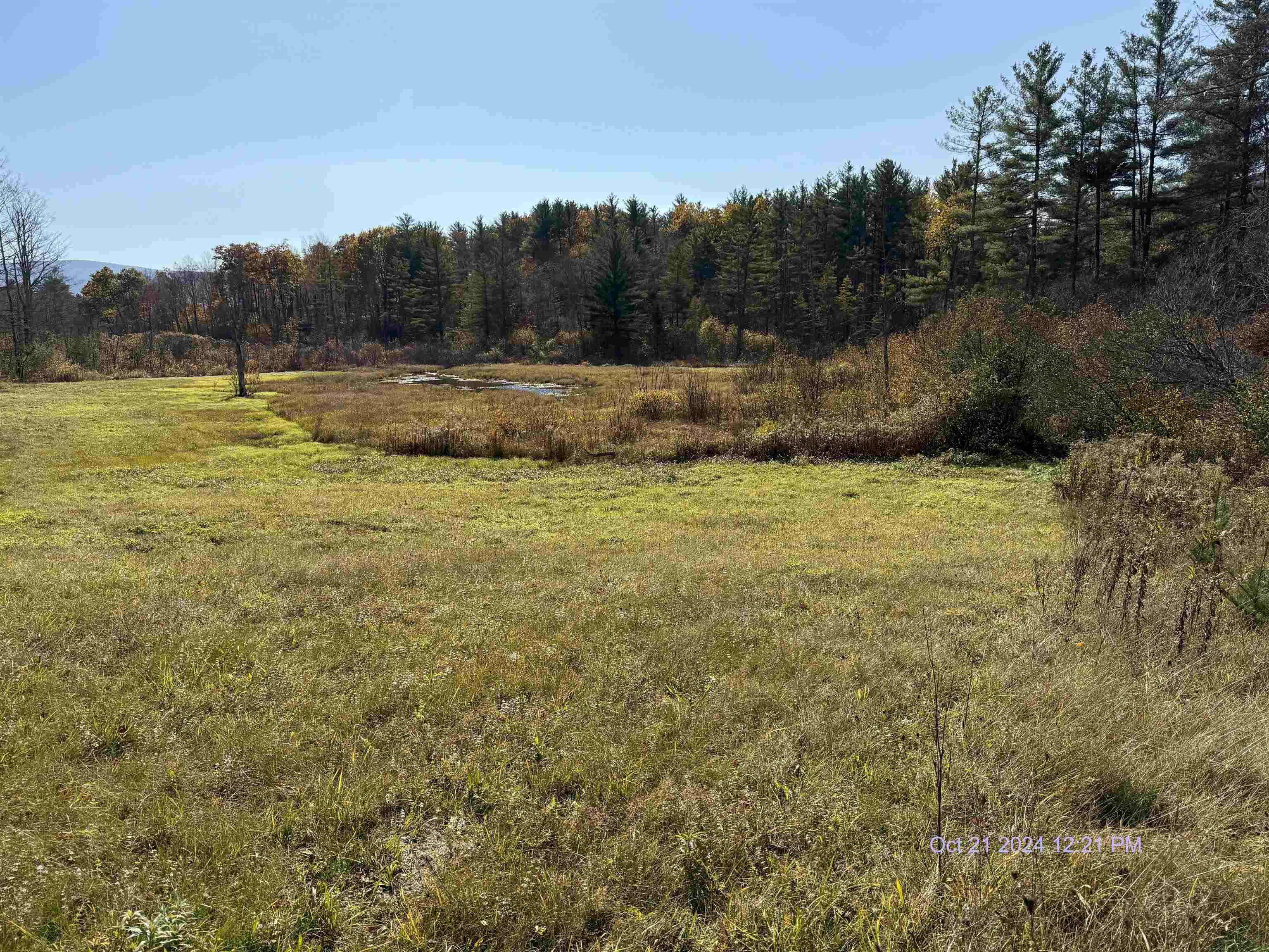 433 Squires Road Manchester Center, VT 05255 - Photo 6 of 28 Gallery Image 6