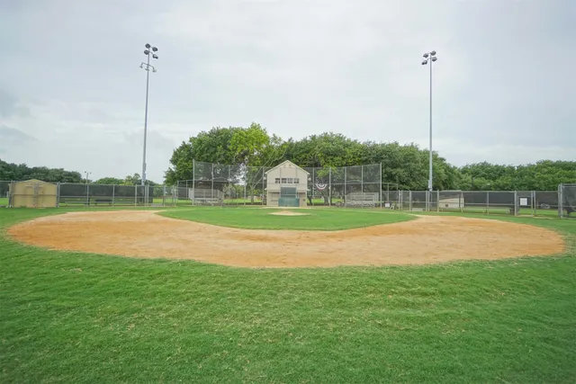 a park with large trees