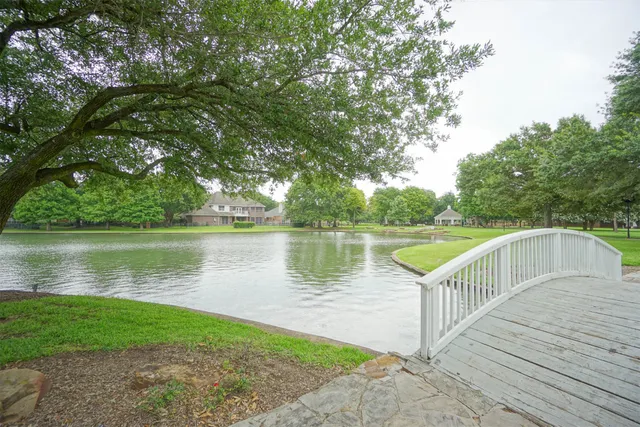 a view of a park with large trees