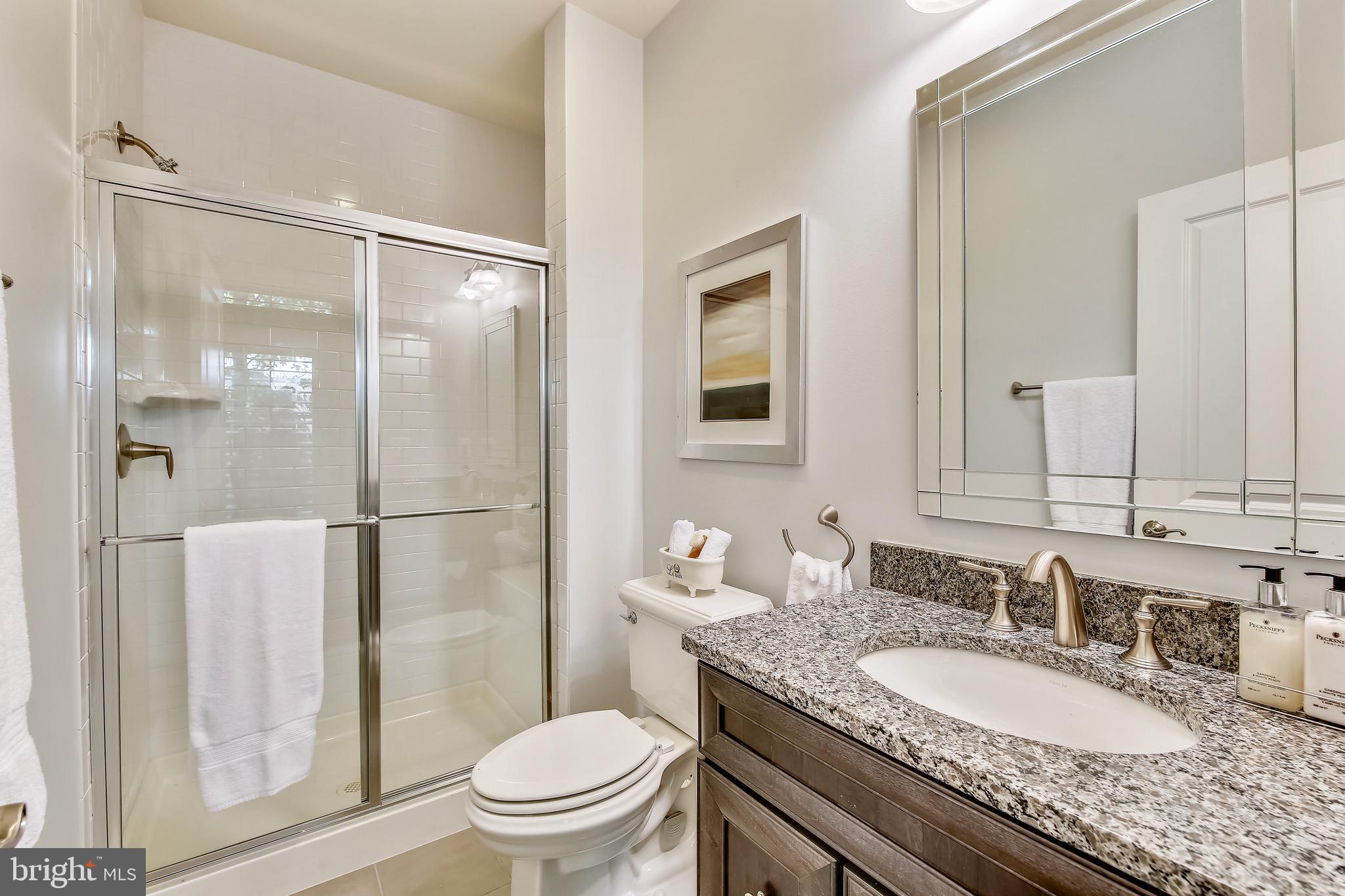 1411 Ridgeview Way Washington, DC 20007 - Photo 41 of 43 a bathroom with a granite countertop sink toilet a mirror and shower