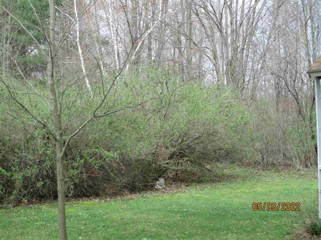 5600 Hess Road Vassar, MI 48768 - Photo 15 of 18 50072895-14.JPG