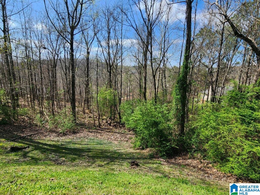 6349 Harness Way Pinson, AL 35126 - Photo 5 of 20