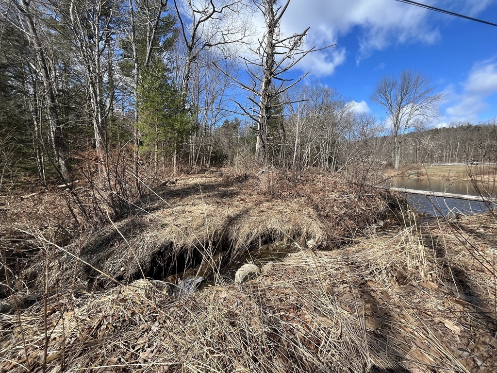 0 March Road Shelburne Falls, MA 01370 - Photo 5 of 7 a view of a yard with large trees