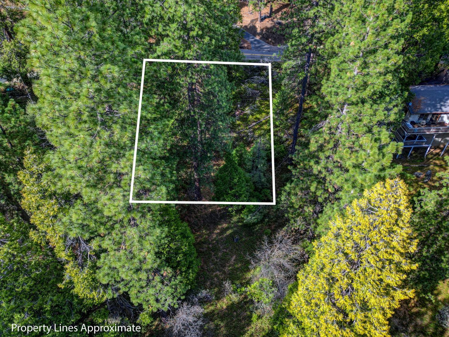 593 Avery Sheep Ranch Road Avery, CA 95224 - Photo 11 of 12