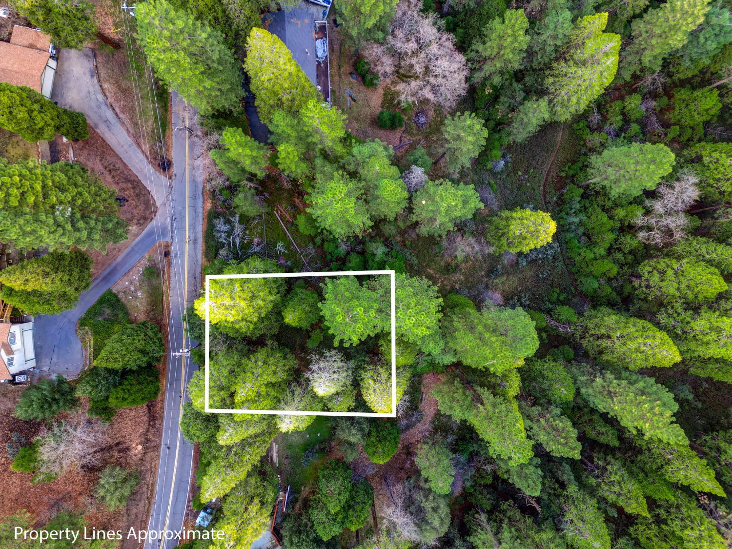 593 Avery Sheep Ranch Road Avery, CA 95224 - Photo 2 of 12