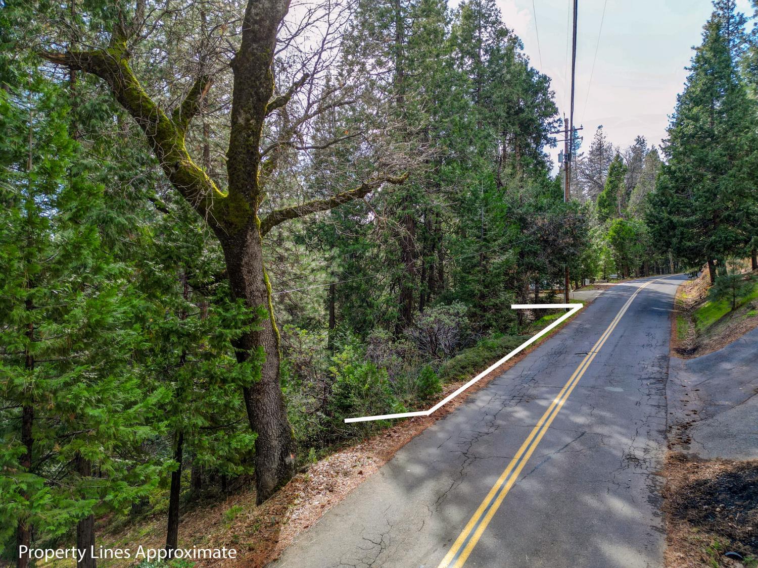 593 Avery Sheep Ranch Road Avery, CA 95224 - Photo 5 of 12