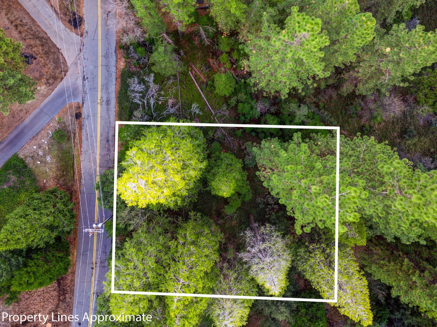 593 Avery Sheep Ranch Road Avery, CA 95224 - Photo 6 of 12