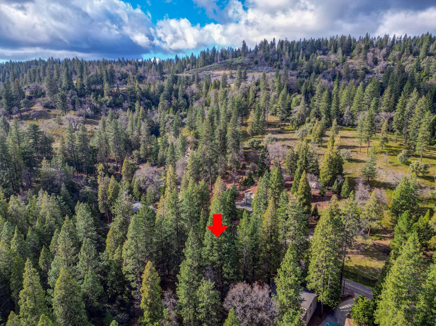 593 Avery Sheep Ranch Road Avery, CA 95224 - Photo 8 of 12