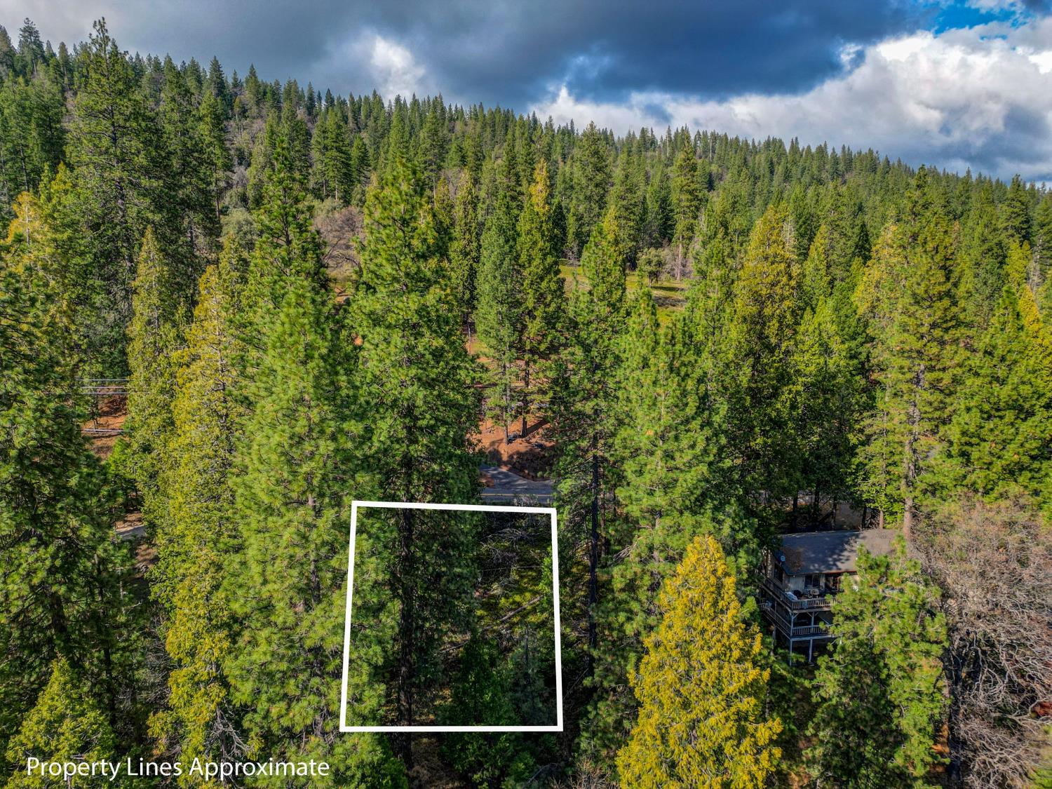 593 Avery Sheep Ranch Road Avery, CA 95224 - Photo 10 of 12