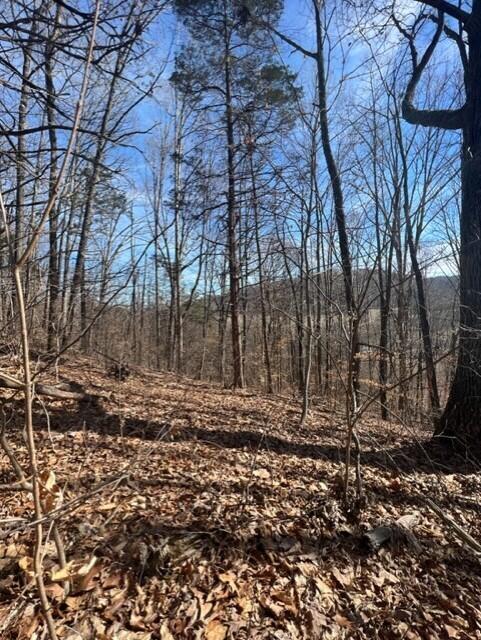 Tbd Davis Valley Road, Unit O3 Afton, TN 37616 - Photo 3 of 8 3