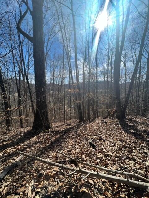 Tbd Davis Valley Road, Unit O3 Afton, TN 37616 - Photo 4 of 8 4