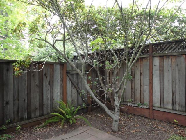 201 Ada Avenue, Unit 25 Mountain View, CA 94043 - Photo 34 of 39