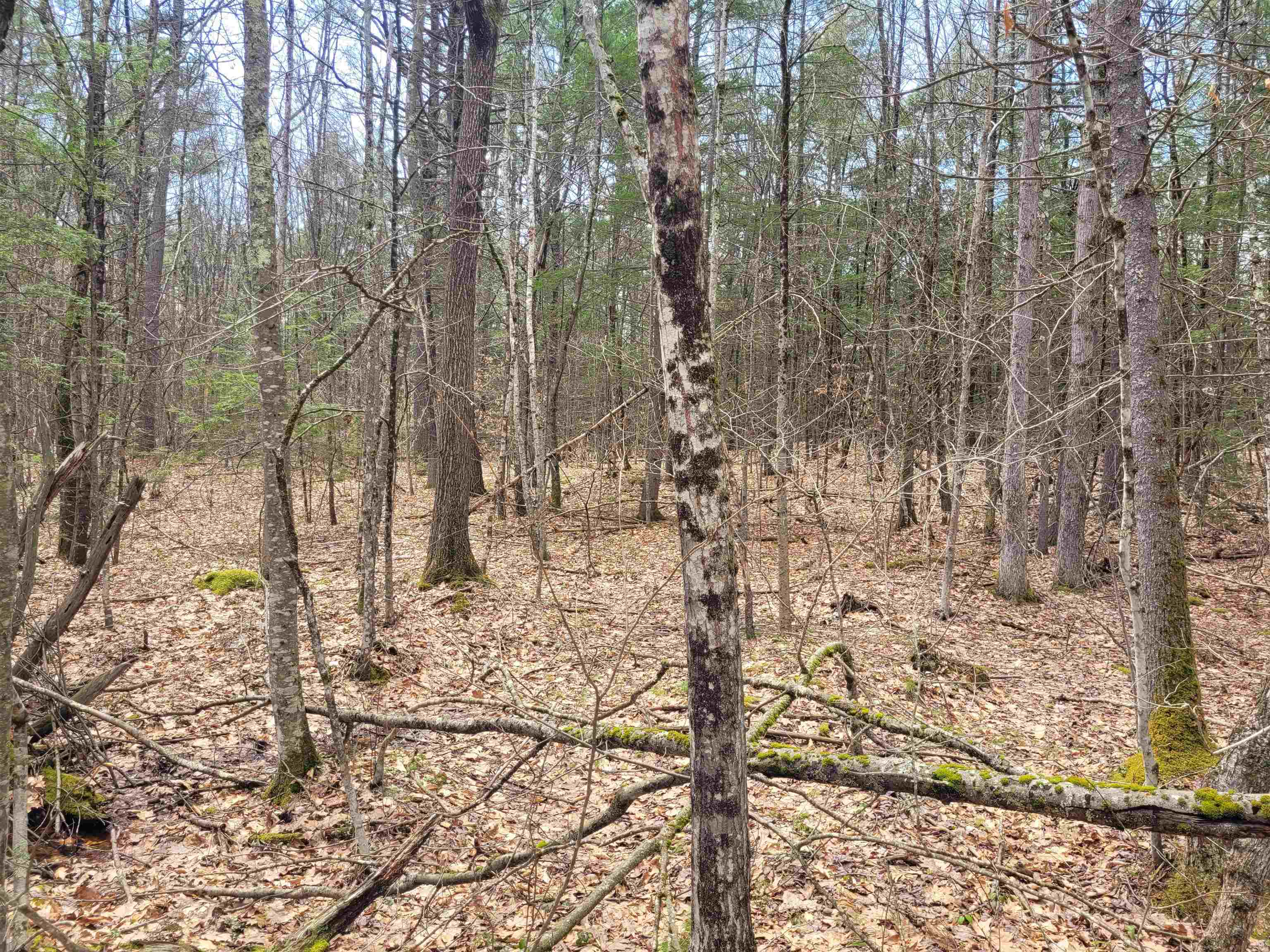 0 Tipping Rock Road Winchester, NH 03470 - Photo 2 of 5