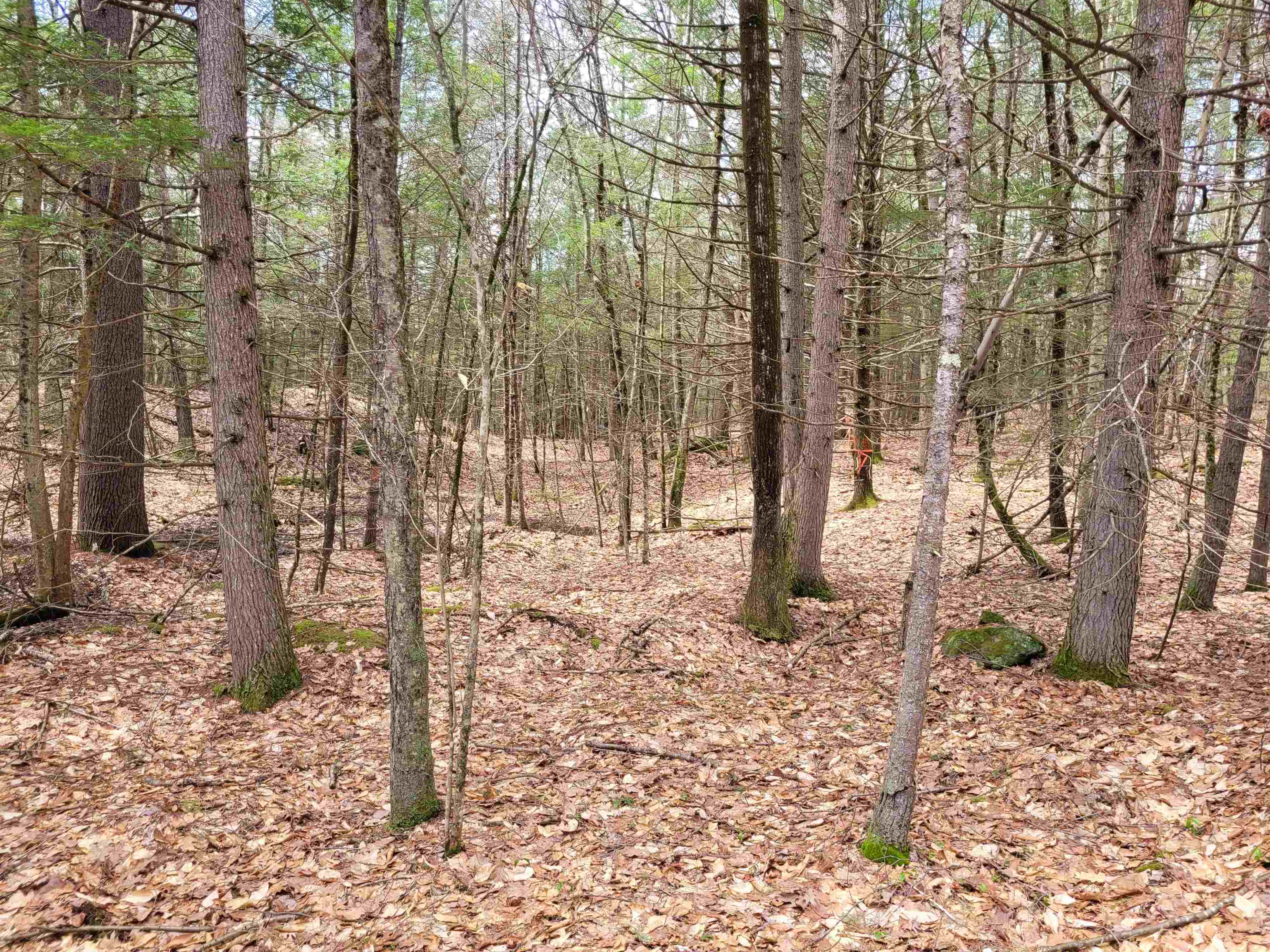 0 Tipping Rock Road Winchester, NH 03470 - Photo 4 of 5