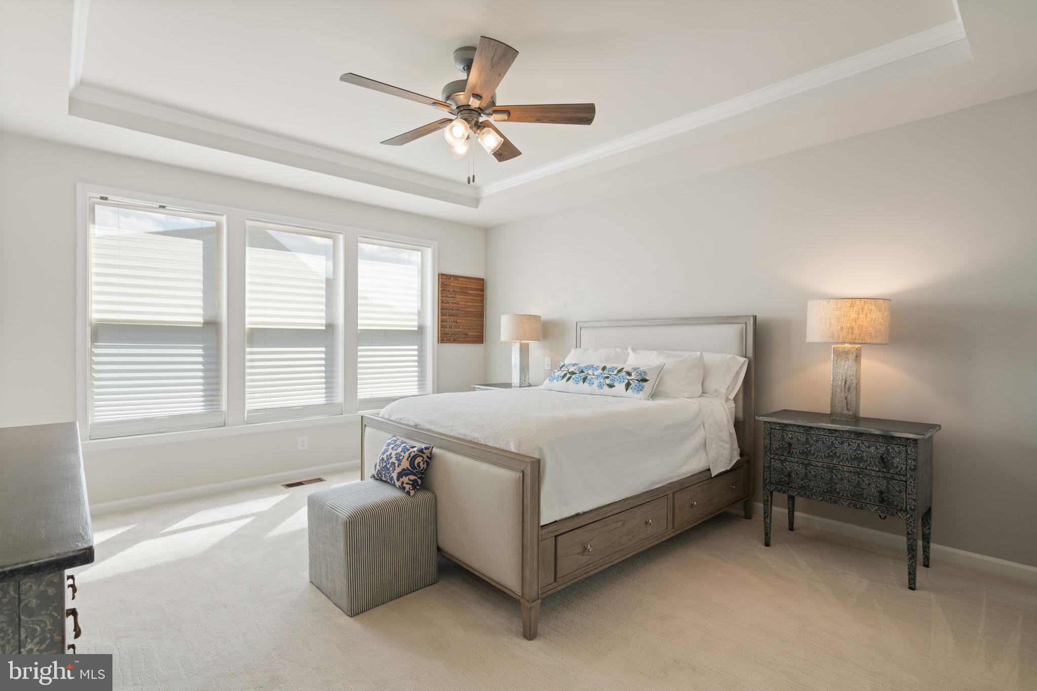 15795 Gardenia Rdg Way Haymarket, VA 20169 - Photo 16 of 63 a spacious bedroom with a bed a chandelier and a couch