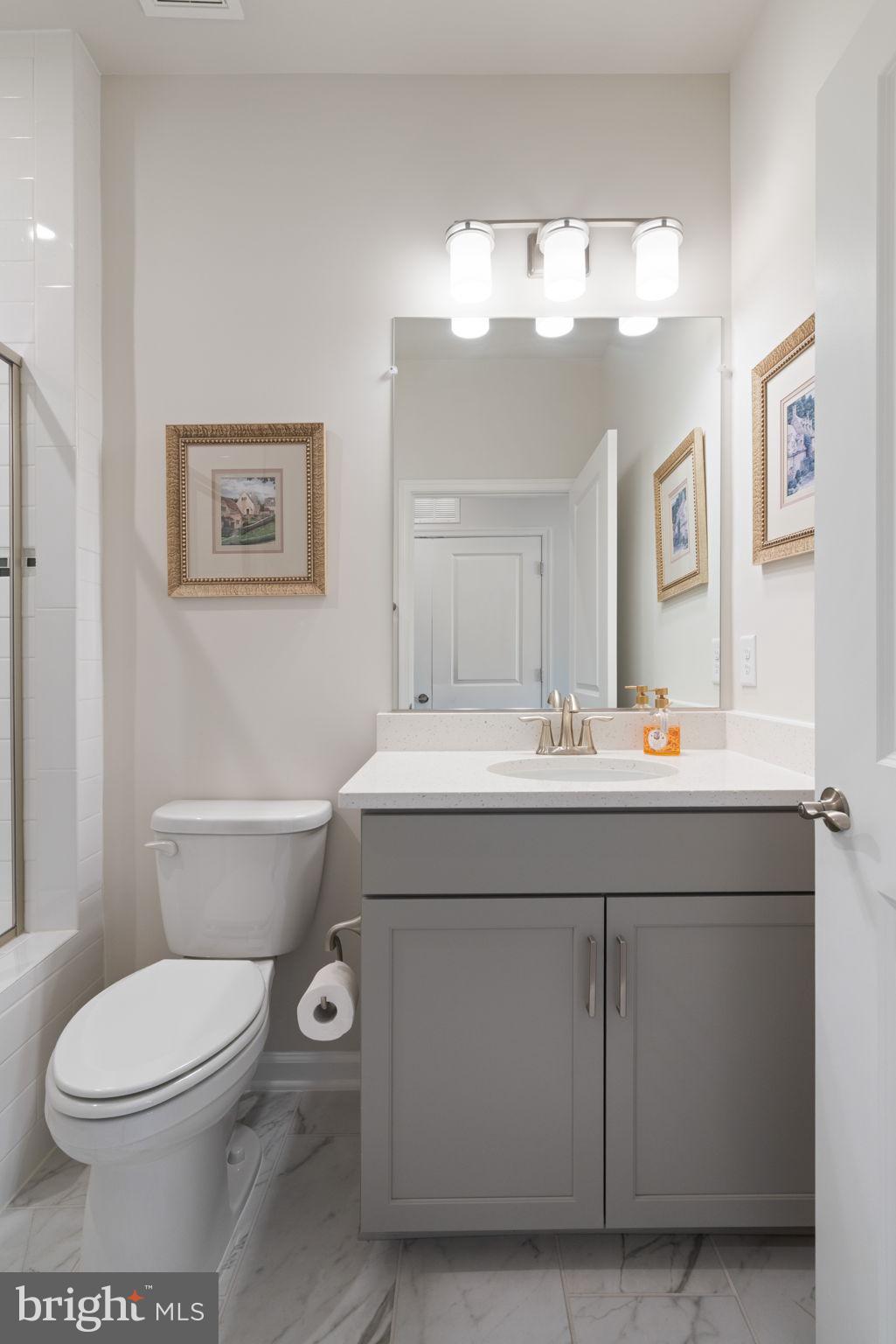 15795 Gardenia Rdg Way Haymarket, VA 20169 - Photo 22 of 63 a bathroom with a toilet a sink and mirror