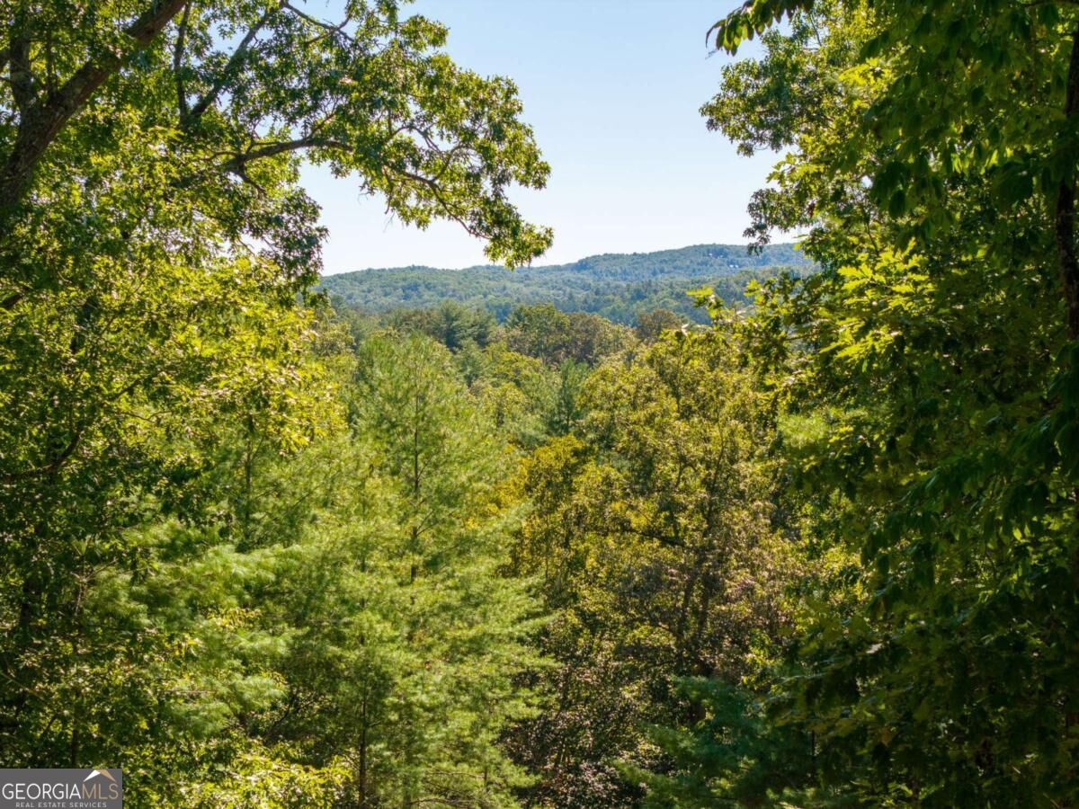 Lot 62 Ridge Drive, Unit 62 Morganton, GA 30560 - Photo 7 of 17 Gallery Image 7