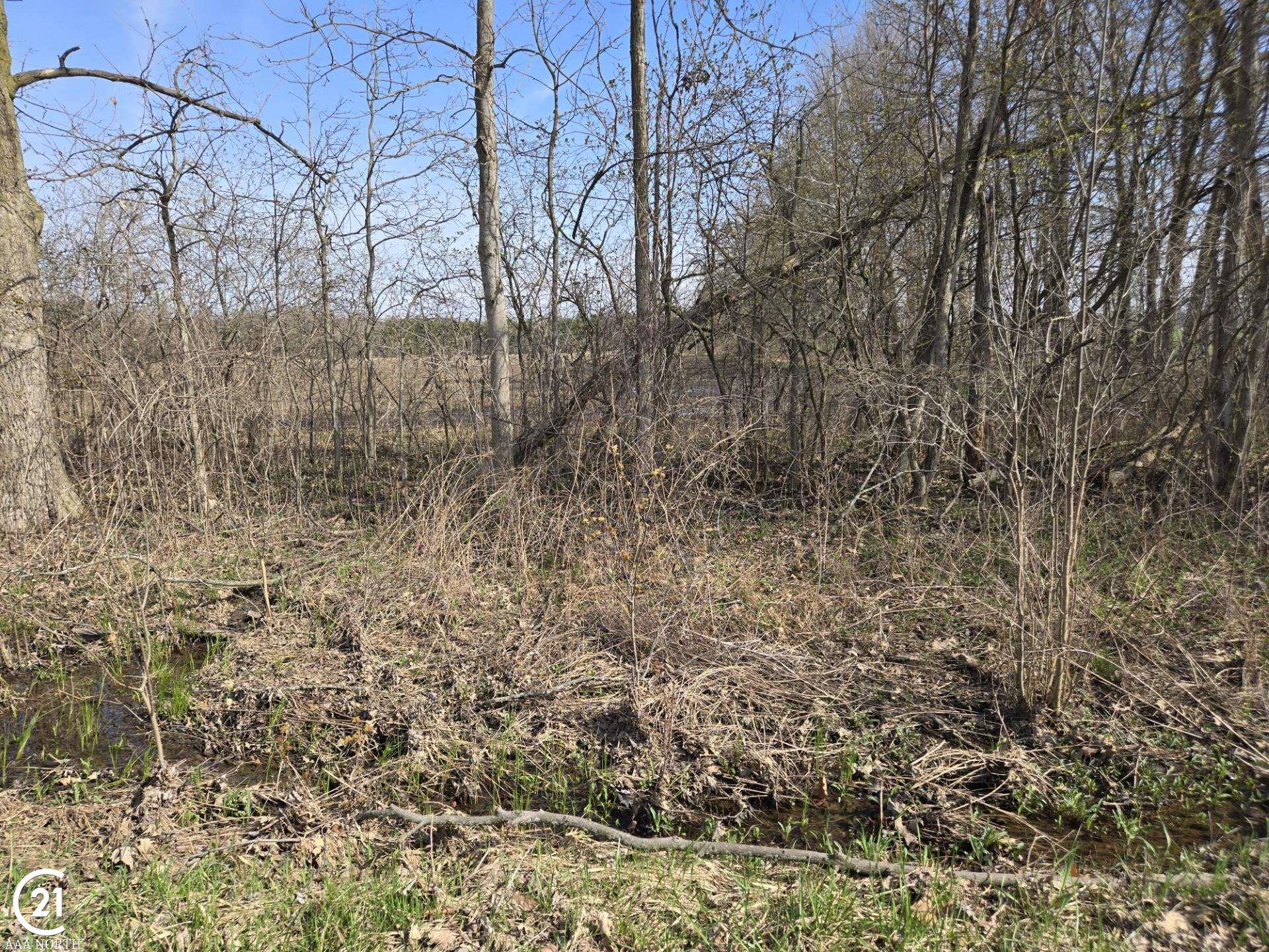 0 Meskill (lot D) Road Columbus, MI 48063 - Photo 3 of 15