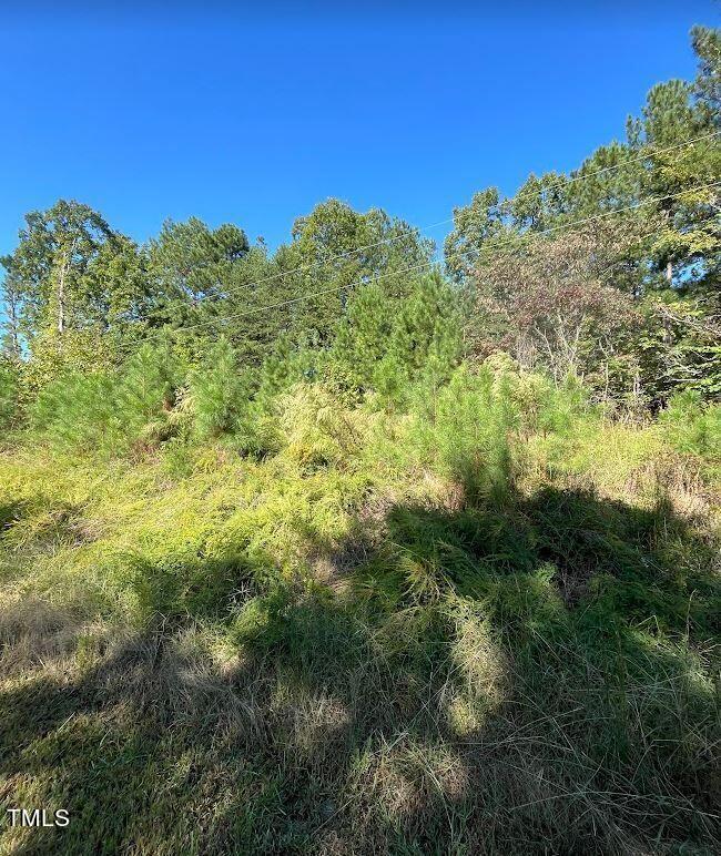 0 Ralph Winstead Road Leasburg, NC 27291 - Photo 6 of 8 .