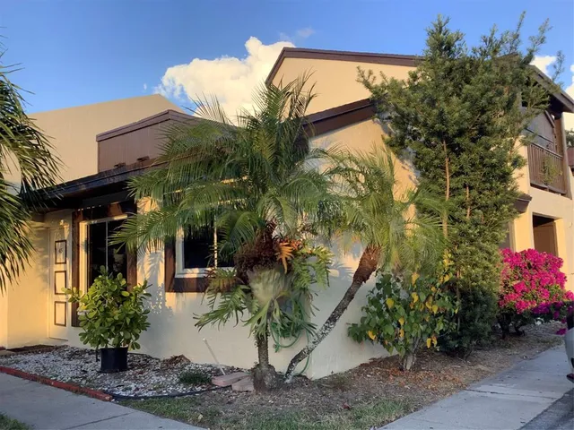 a potted plant sitting in front of a house