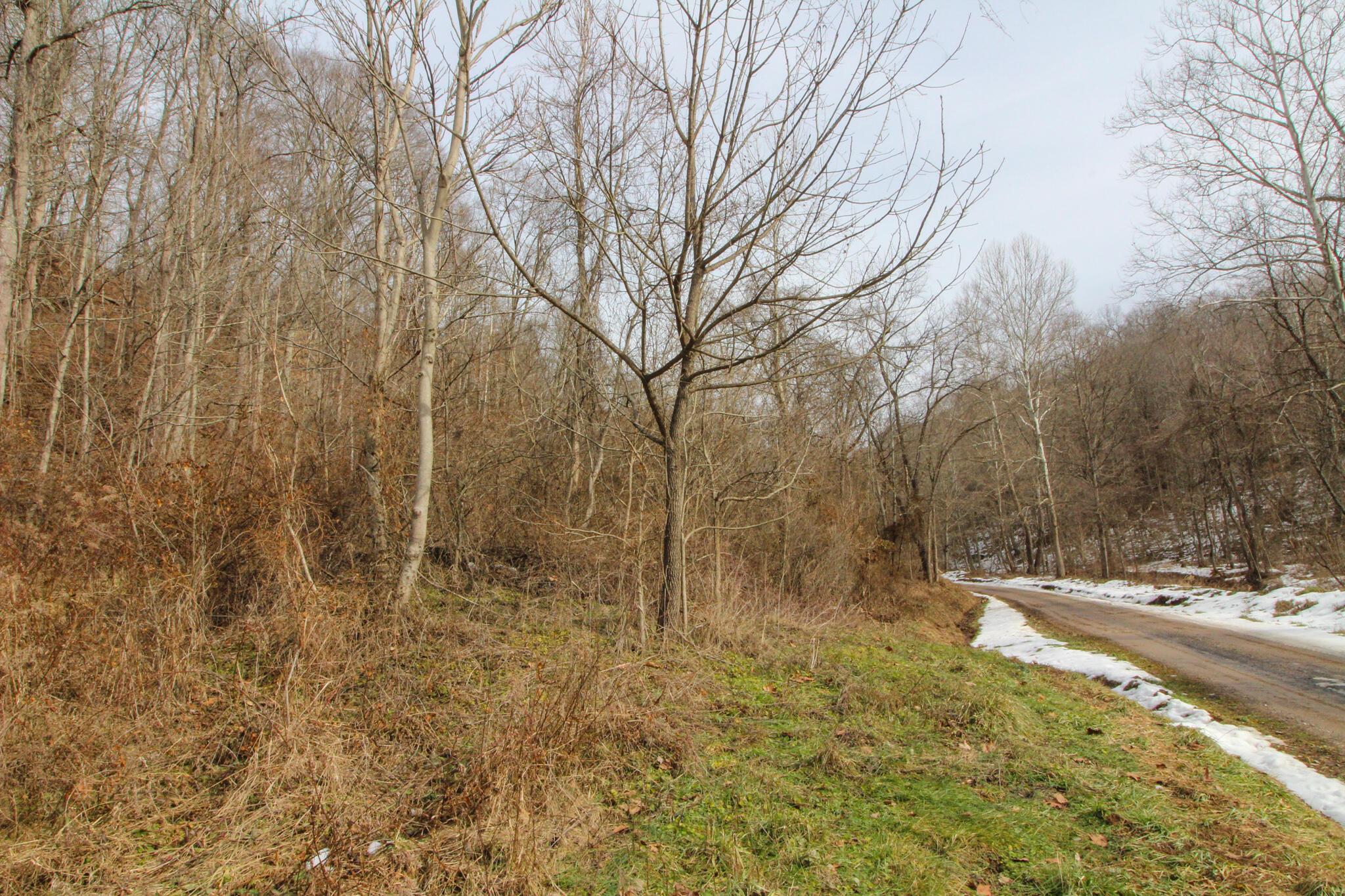0 Kerr Run Road Newport, OH 45768 - Photo 25 of 26 IMG_3822