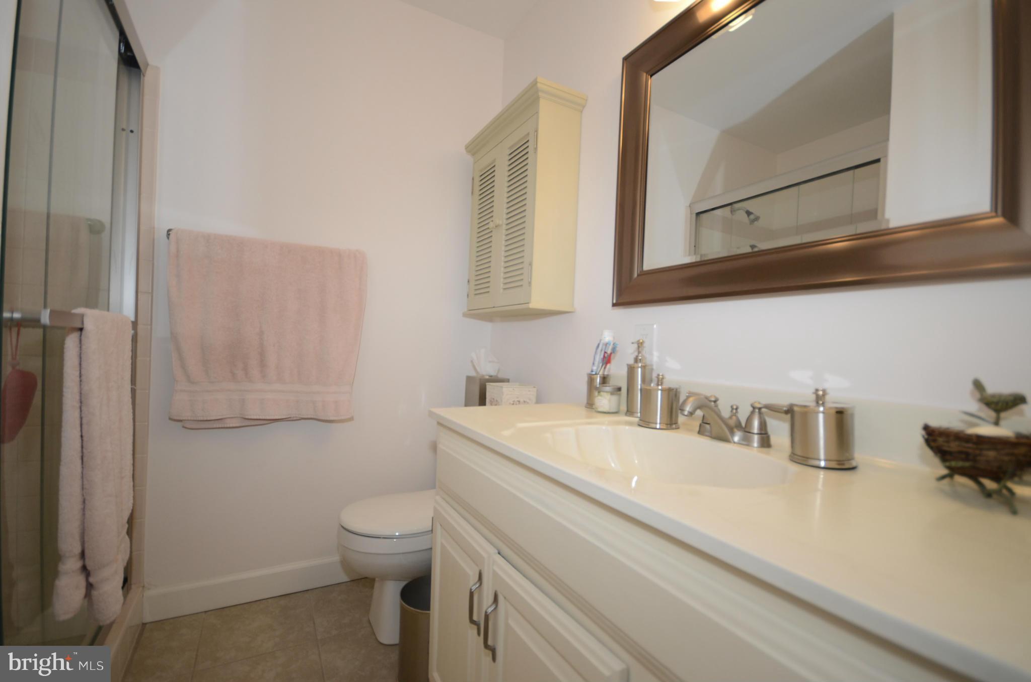 19120 Bloomfield Road Olney, MD 20832 - Photo 11 of 28 Bath (Master)