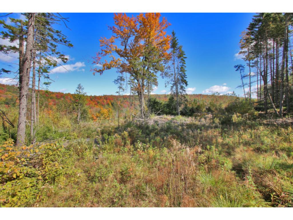 350 Chamberlin Road Northfield, VT 05663 - Photo 21 of 36
