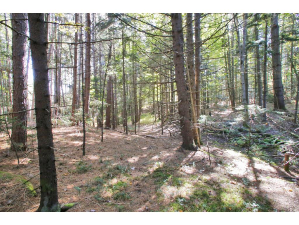 350 Chamberlin Road Northfield, VT 05663 - Photo 22 of 36