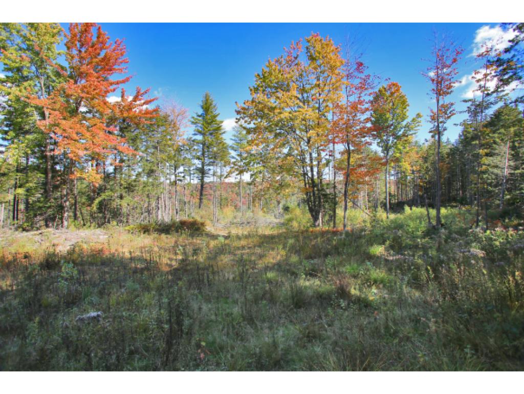 350 Chamberlin Road Northfield, VT 05663 - Photo 24 of 36