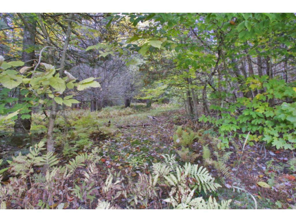 350 Chamberlin Road Northfield, VT 05663 - Photo 29 of 36