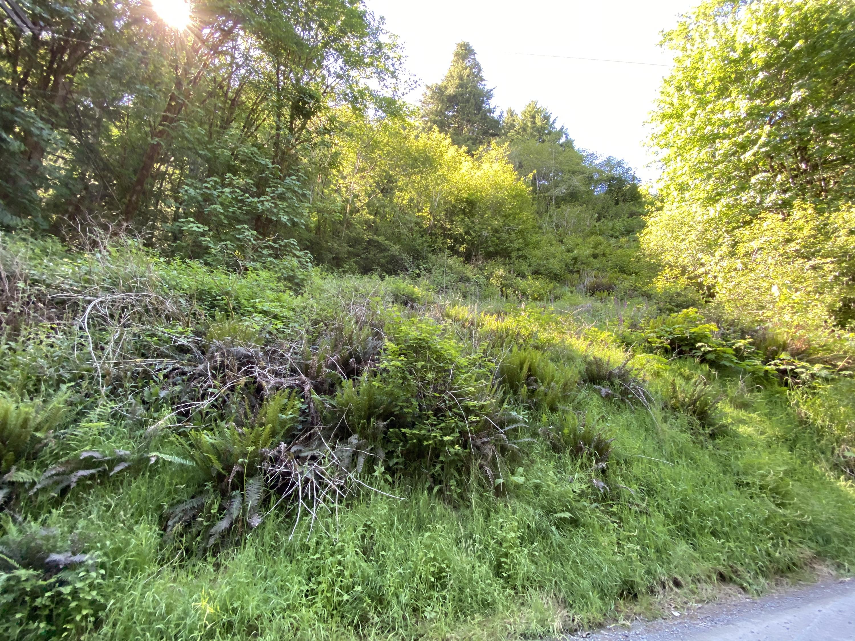 West Point Drive Nehalem, OR 97131 - Photo 13 of 19 Photo Jun 09, 4 21 56 PM