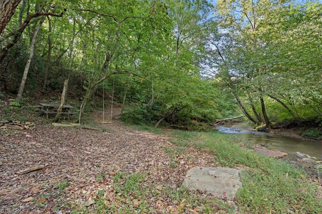 898 Grassy Creek Road Pinnacle, NC 27043 - Photo 14 of 50 Gallery Image 14