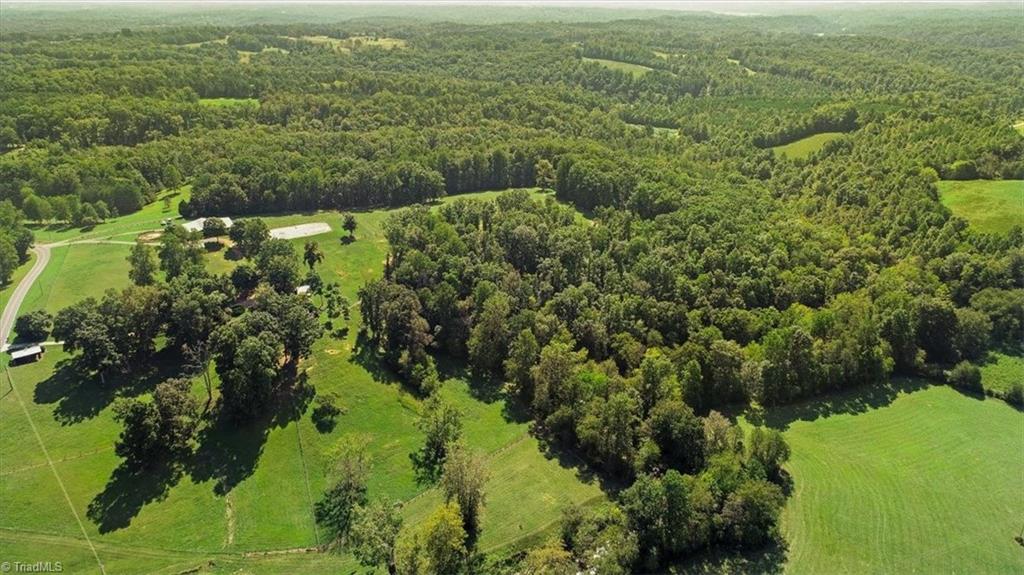 898 Grassy Creek Road Pinnacle, NC 27043 - Photo 41 of 50 Gallery Image 41