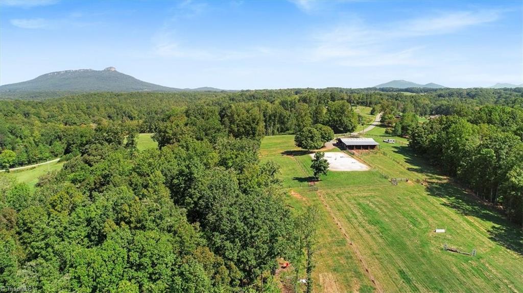 898 Grassy Creek Road Pinnacle, NC 27043 - Photo 44 of 50 Gallery Image 44
