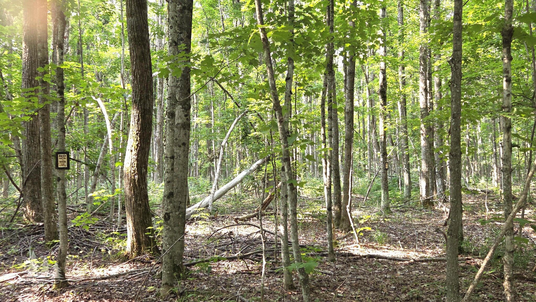 2139 Myrtle Lane Vanderbilt, MI 49795 - Photo 20 of 21 Gallery Image 20