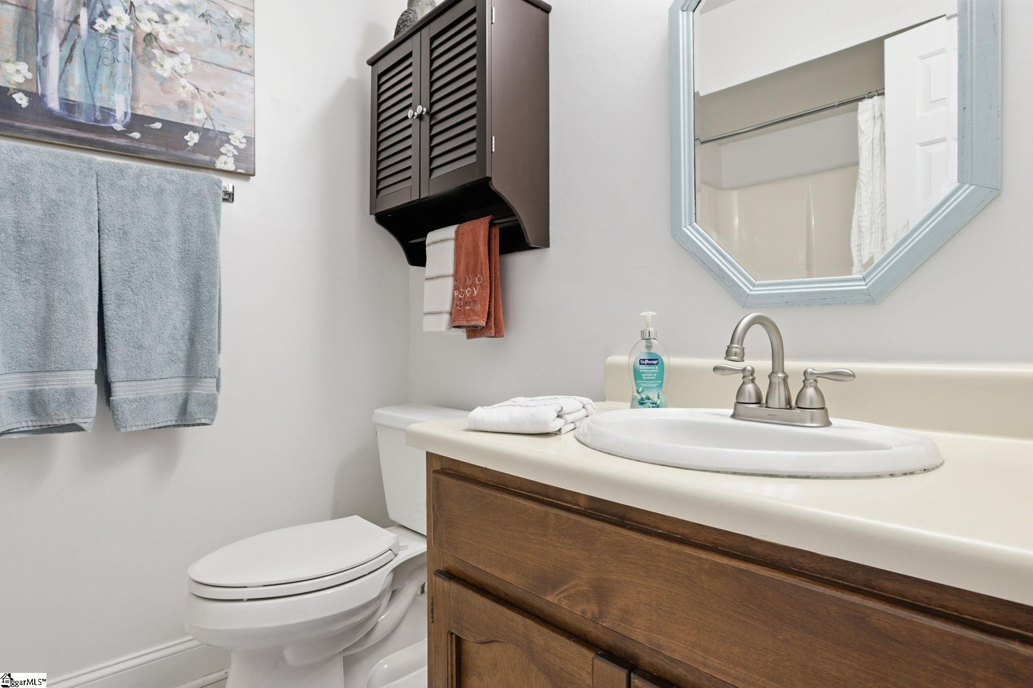 117 Wood Creek Road Mauldin, SC 29662 - Photo 3 of 43