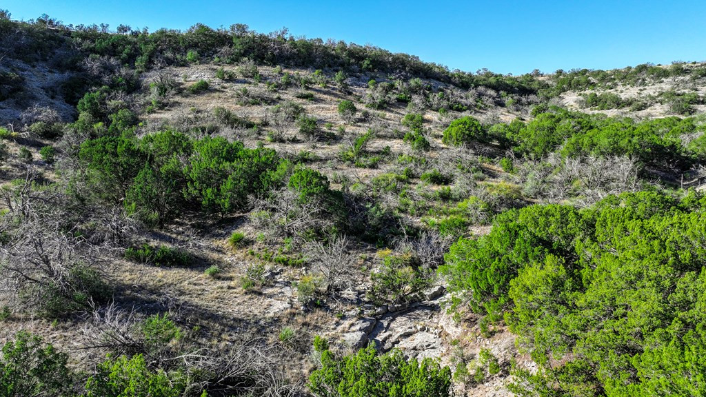 Tbd Deer Run Road Ozona, TX 76943 - Photo 2 of 17 Photo 2