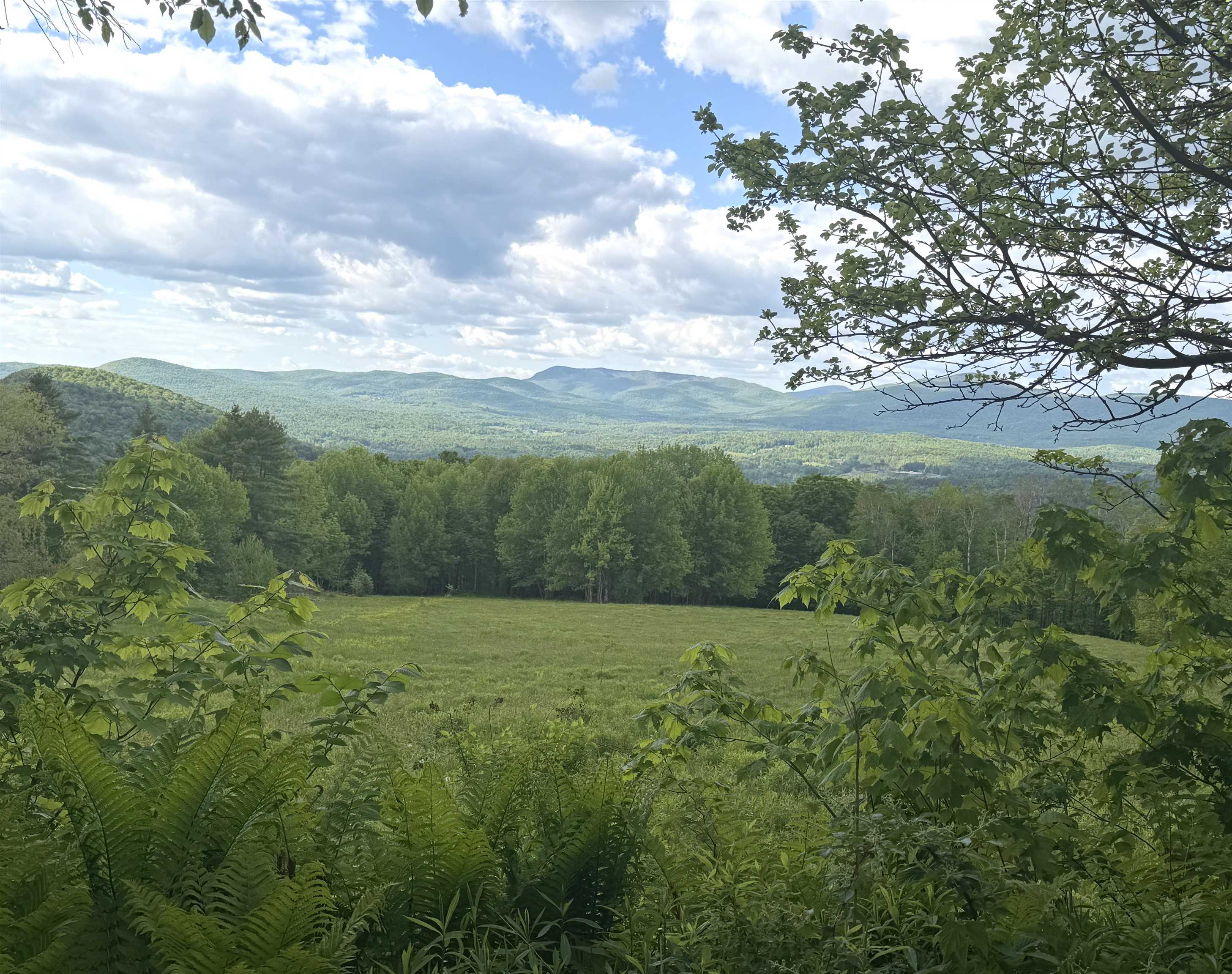877 Grow Road Johnson, VT 05656 - Photo 2 of 5