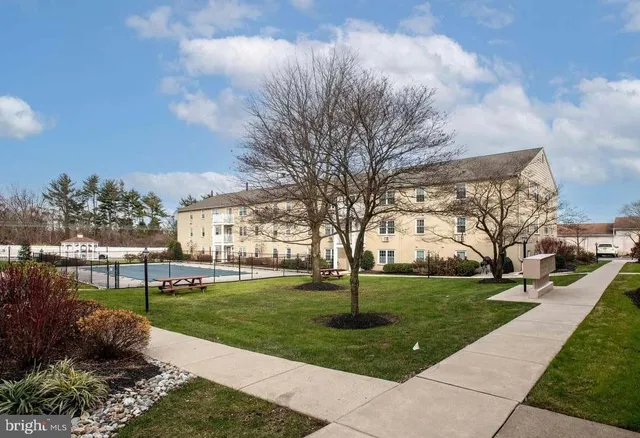 a view of a park with large trees